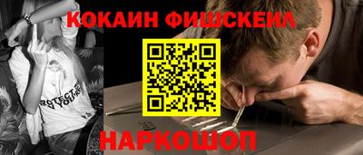 прущие крисы Кингисепп