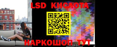 прущие крисы Кингисепп