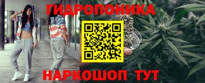 прущие крисы Кингисепп