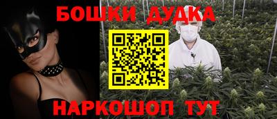 прущие крисы Кингисепп