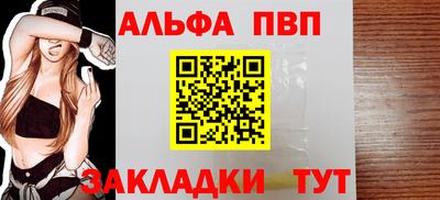 прущие крисы Кингисепп