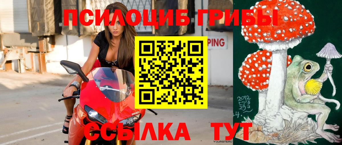 Зима  Галлюциногенные грибы Psilocybe  Вход с VPN 