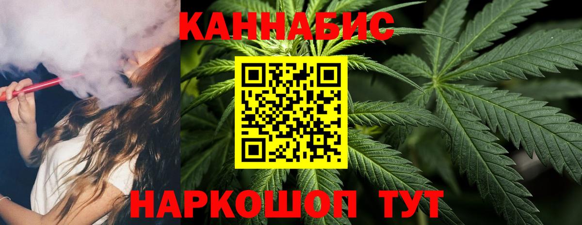 Марихуана сатива Зима